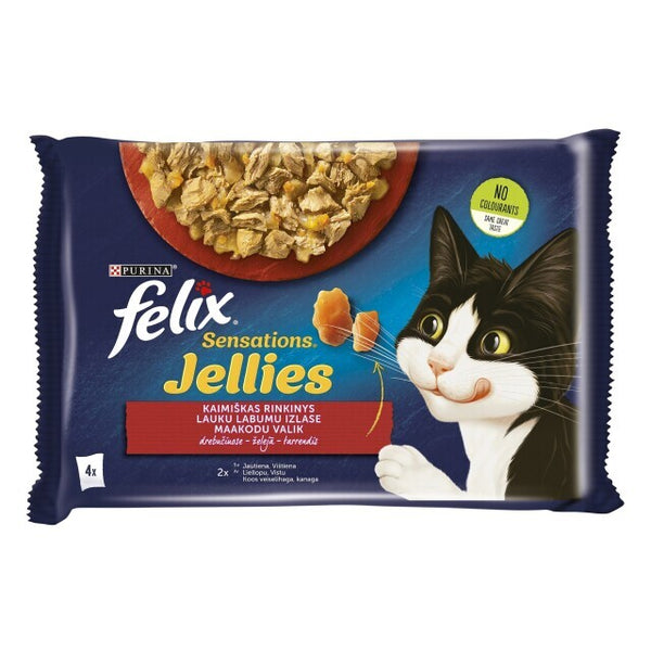 Konserv. kačių ėdalas FELIX FANTASTIC